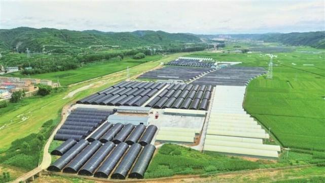 無人機航拍的臨縣城莊千畝設施蔬菜示范園區(qū)